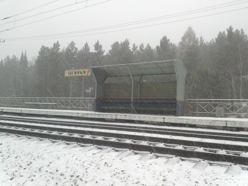 о.п. "Таежный" / Taiozhnyy railway station