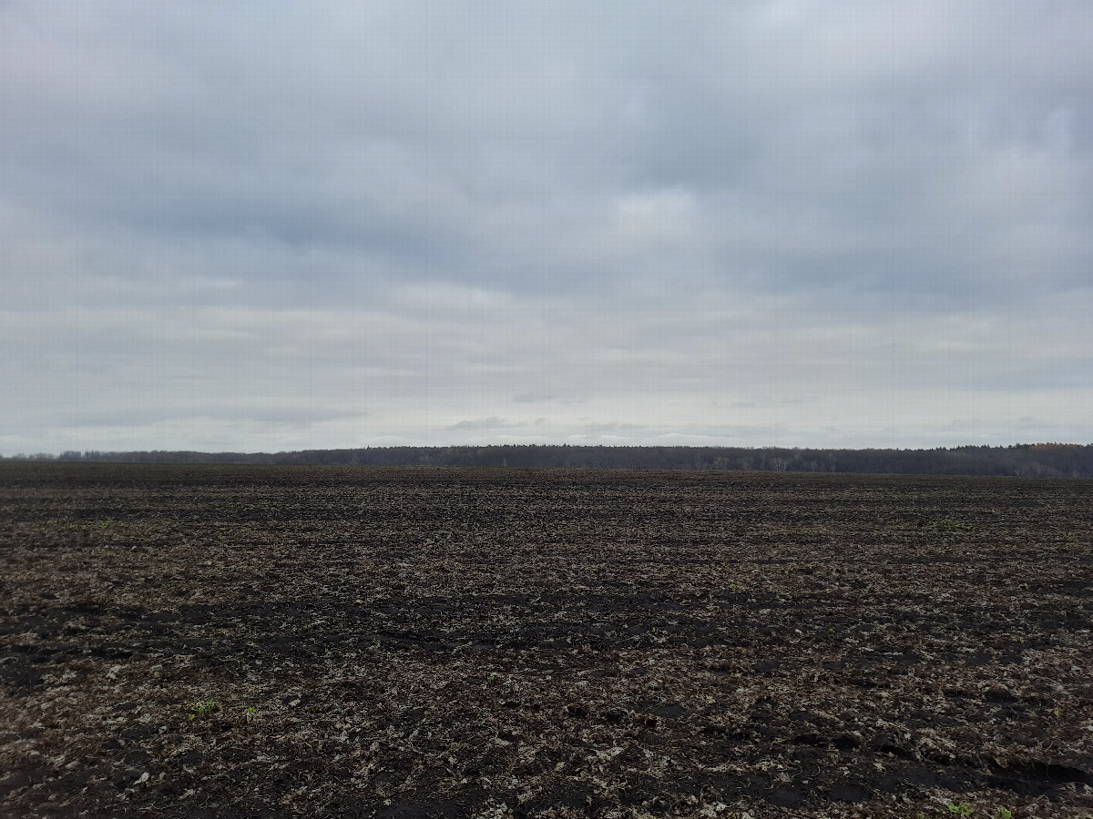 Вид на север / View to the north