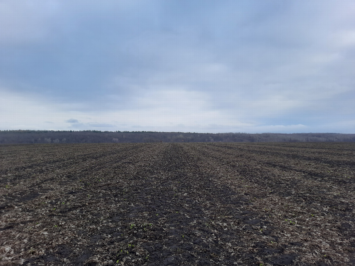 Вид на восток / View to the east