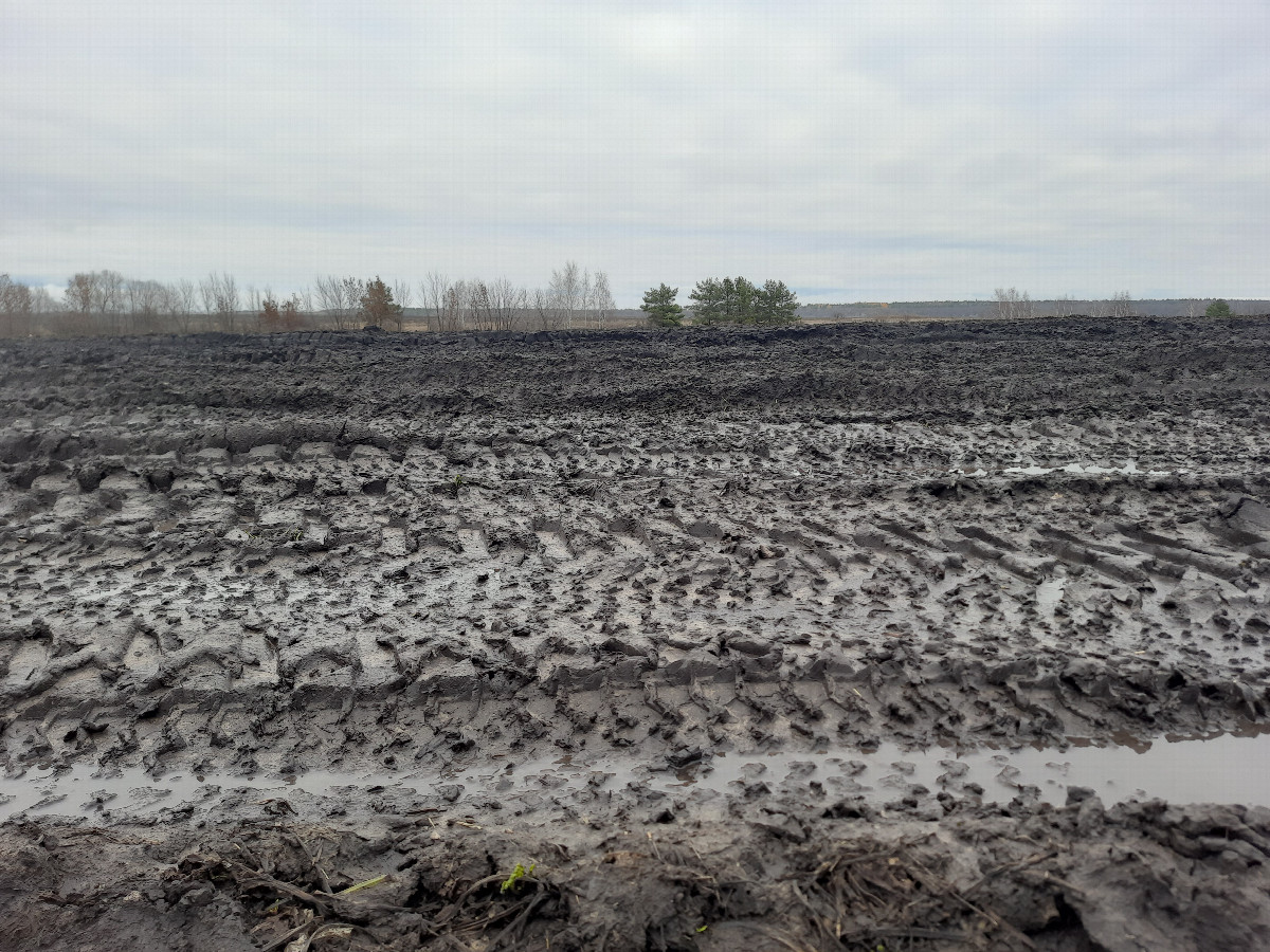Вот такой чернозём / Here is such a black soil