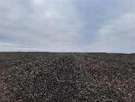 #5: Вид на запад / View to the west