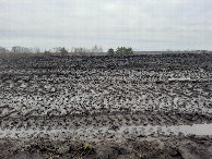 #9: Вот такой чернозём / Here is such a black soil