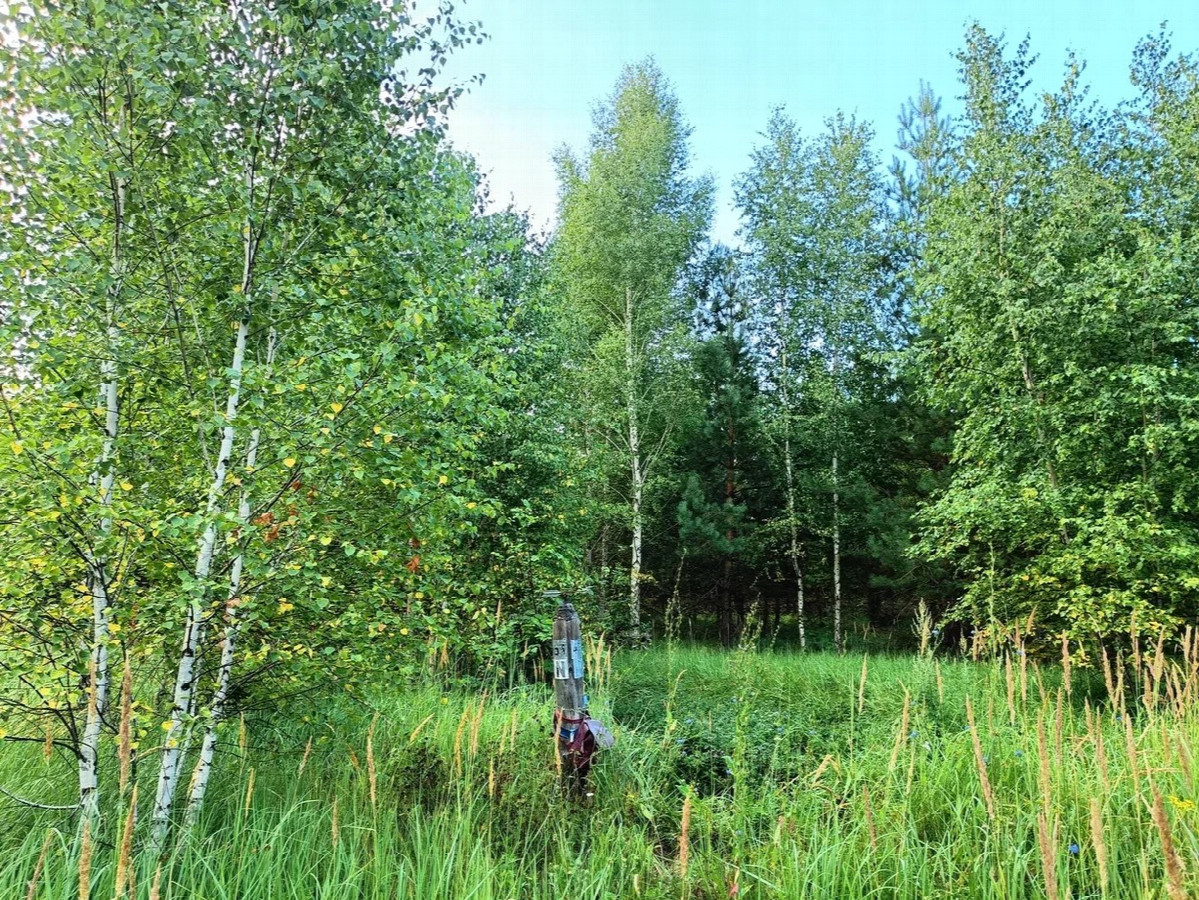 Общий вид точки пересечения / General view