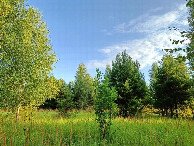 #2: Вид на север / North