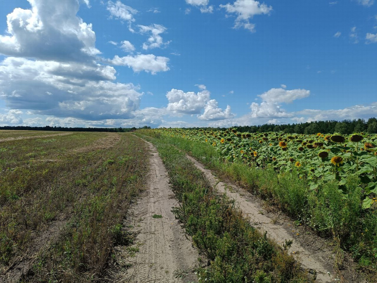 Начало пути / In the beginning of trip