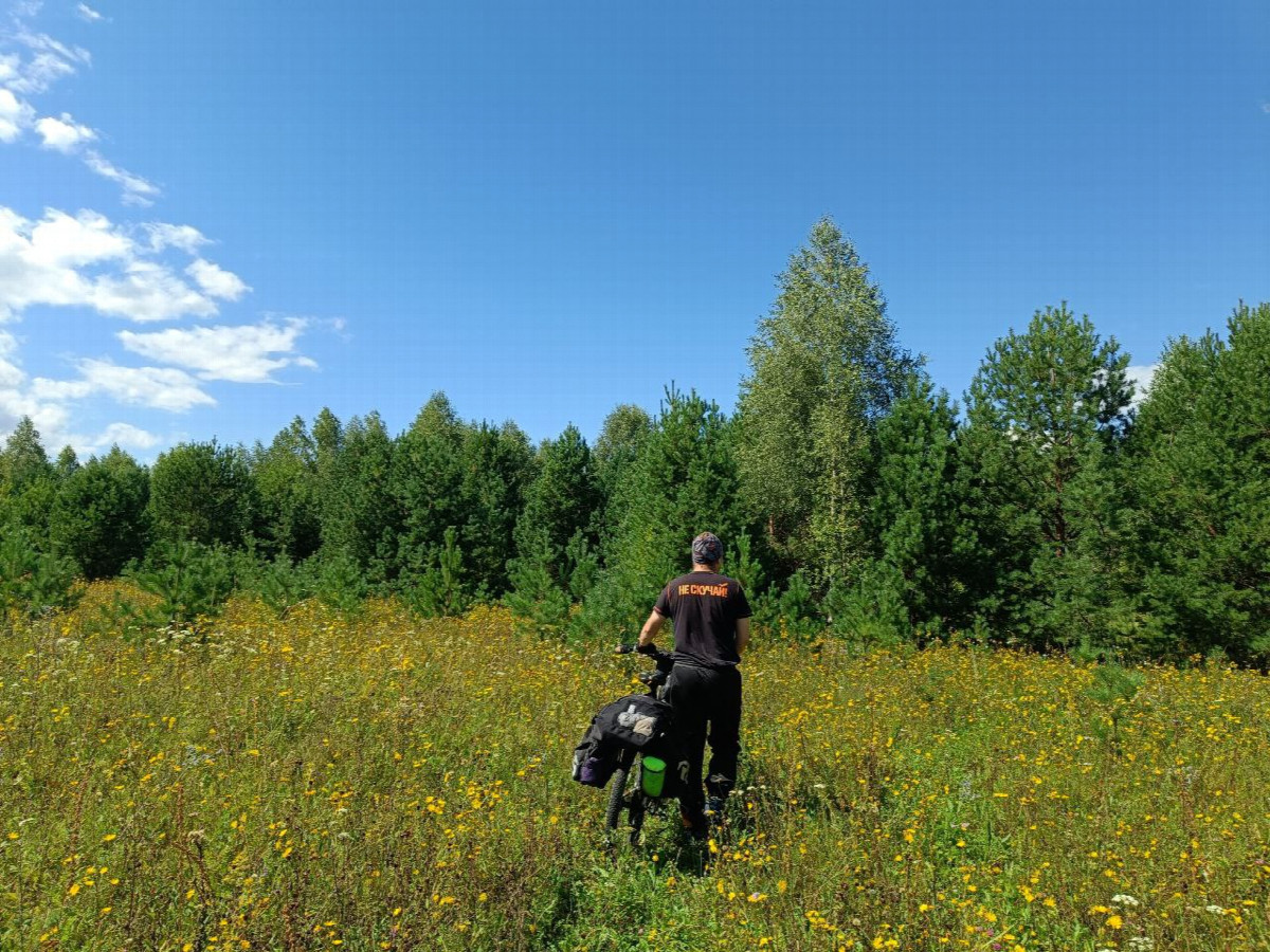Пешком по траве / Walking on the grass