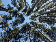 #11: На точке глядя ввысь / Looking up at the point