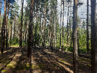 #2: Вид на север / View to the north