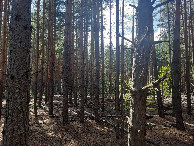 #4: Вид на юг / View to the south
