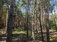 #5: Вид на запад / View to the west
