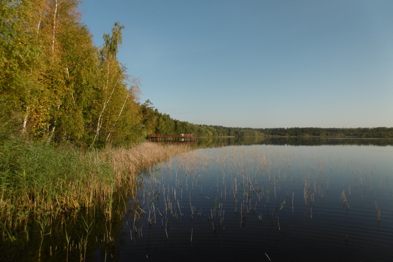 Осеннее утро на Белом озере / A fall morning at the Beloye lake