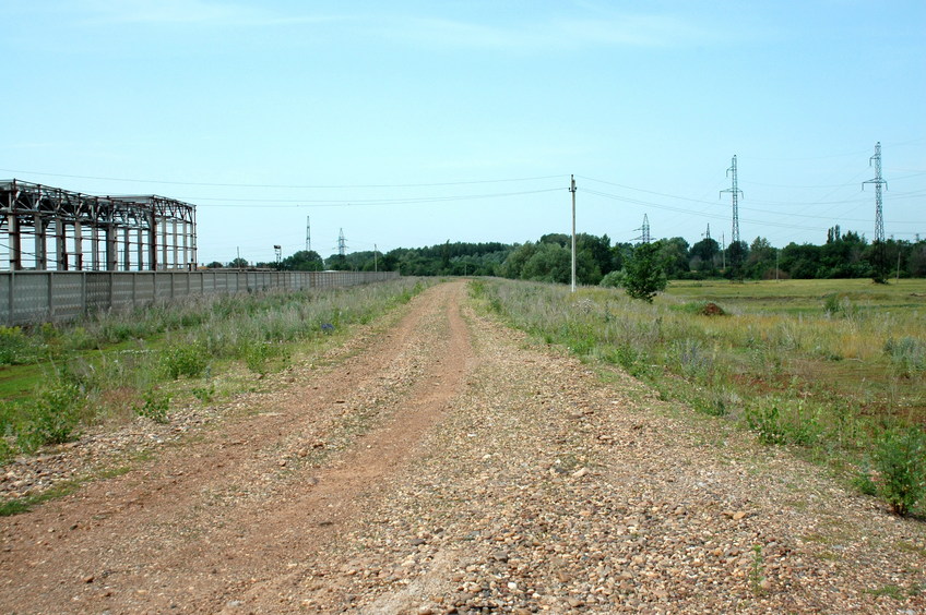 The road to the plant