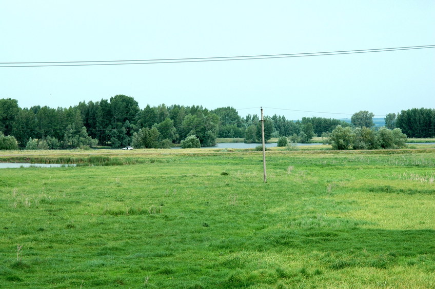 Старица Белой/Old riverbed of Belaya