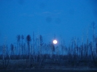 #7: Полнолуние / Full moon
