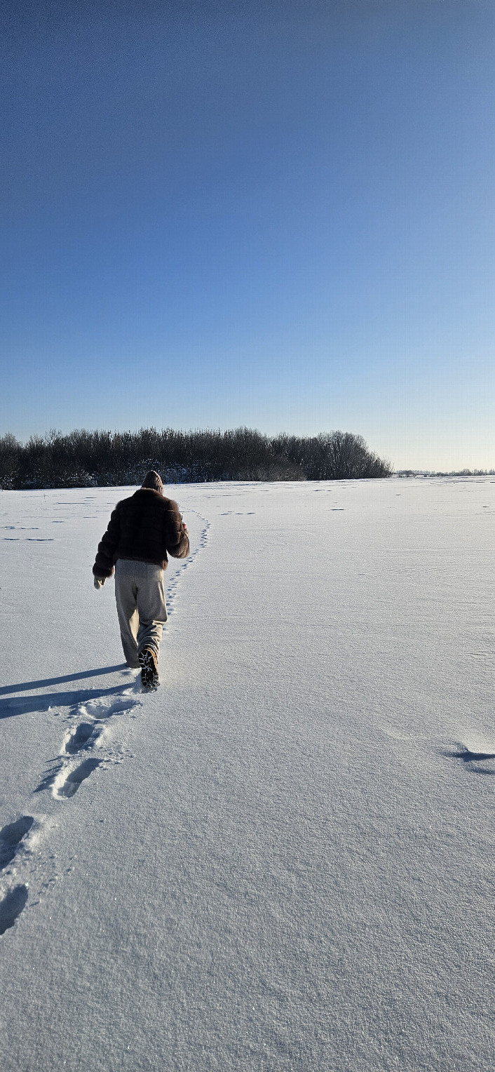 По следам белого кролика / In the footsteps of the white rabbit