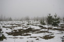 #9: Clearing in mist, 1 km to the CP