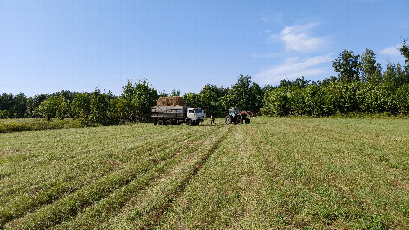 Hay harvesting