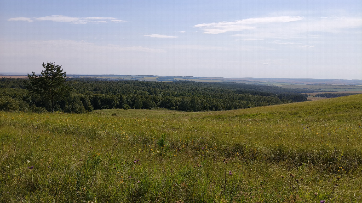View from the hill towards CP