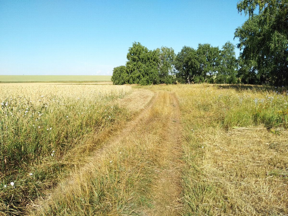 Field road