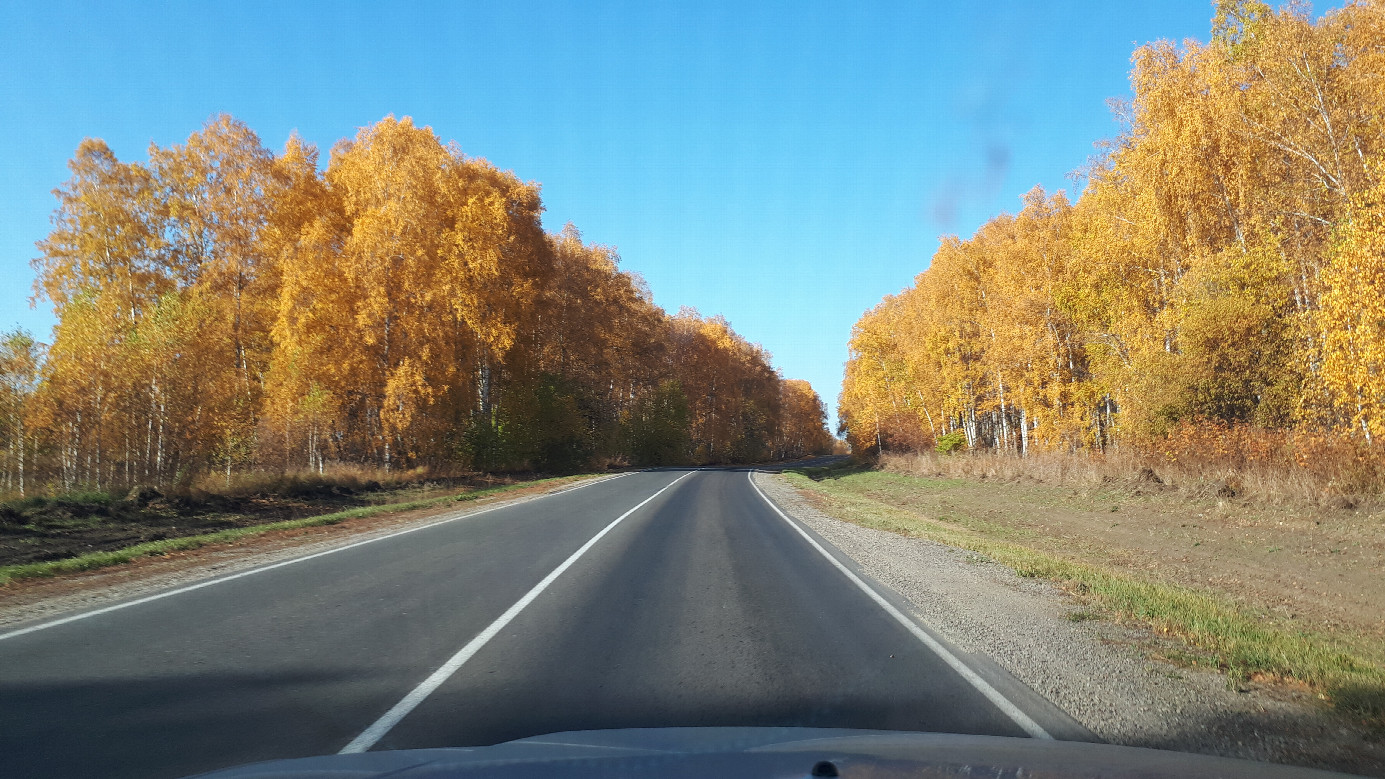 Дорога на Абакан / Road to Abakan