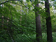 #2: View to the south