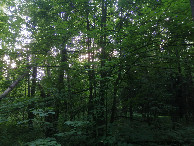 #3: View to the west
