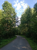 #7: Road to Bereznya