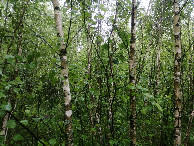 #4: View to the east