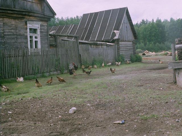 Деревня малиновка. Малиновка деревня. Деревня Малиновка Рязанская область. Деревня Малиновка Путятинский район. Деревня Малиновка Новгородская область.