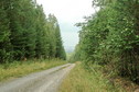 #8: The road towards Satka town/Вид по дороге в сторону Сатки