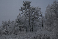 #9: Зимняя сказка / Winter fairy tale