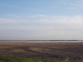 #10: Вид на озеро Камышловское с трассы/Kamyshlovskoye lake. View from motorway.
