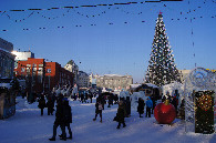 #11: городская новогодняя елка - City Christmas Tree