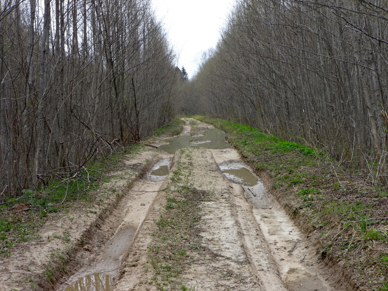 A road at the first part