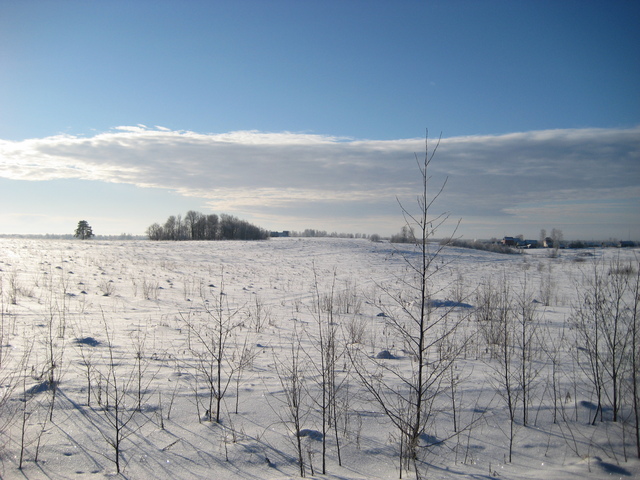 Voskresenkoye village behind the field