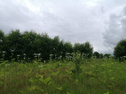 #1: General view