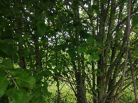 #5: View to the west
