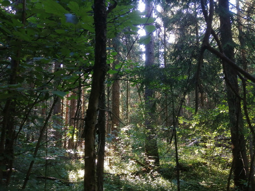#1: View to the west