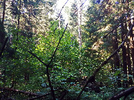 #2: View to the north