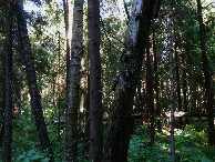 #3: View to the east