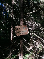 #5: General view, plate