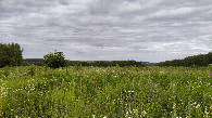 #2: East view