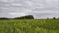 #3: South-east view