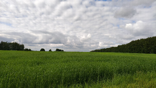 #1: North view