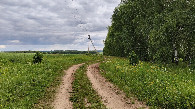 #10: Along the forest belt