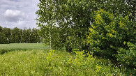 #2: East view