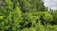 #3: South view