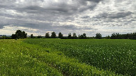#4: West view