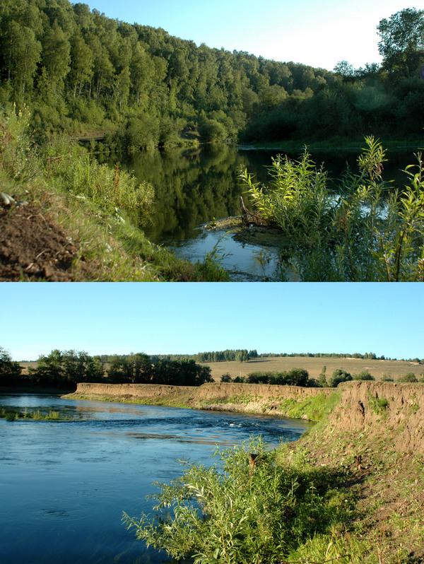 River Tui in 260 m from CP. Upper: to the west. Lower: to the North/Излучина в 260 м от точки. Сверху - на запад, снизу на север