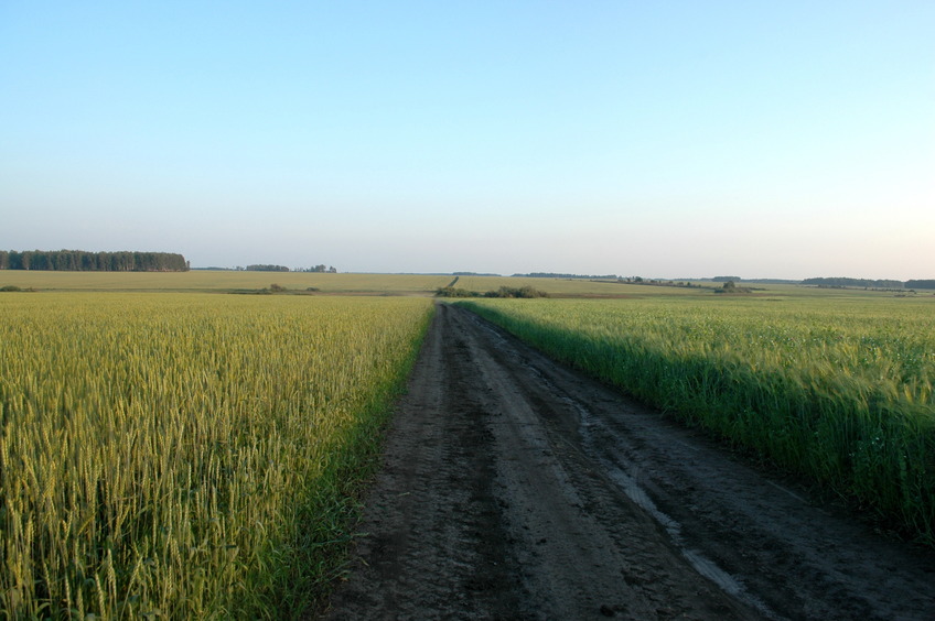 The dirt field road / Полевая дорога к точке